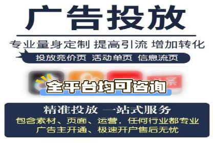 SEM搜索引擎优化案例：如何提升网站流量和转化率